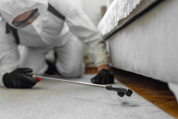Professional Wasp Control technician working in North Fort Lewis, WA