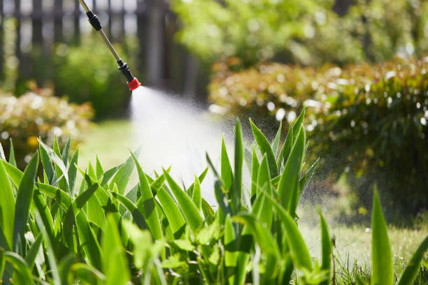 24/7 Emergency Emergency Pest Control experts in North Fort Lewis, WA