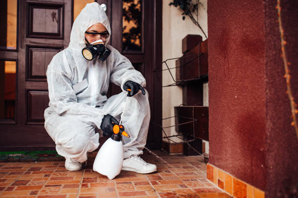 Reliable Emergency Pest Control contractor in North Fort Lewis, WA by Nex Pest Control