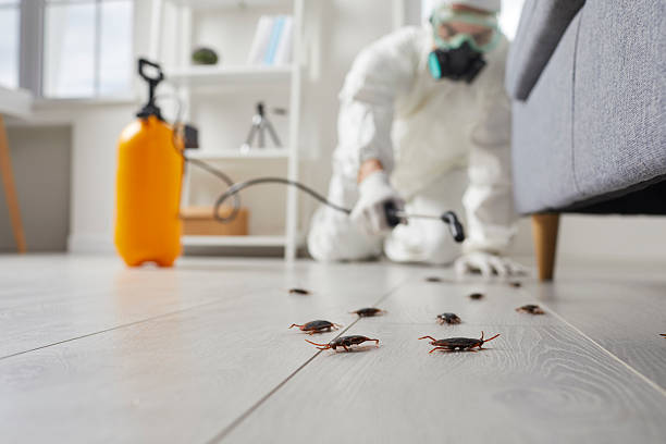Trusted Emergency Pest Control service in North Fort Lewis, WA - Nex Pest Control