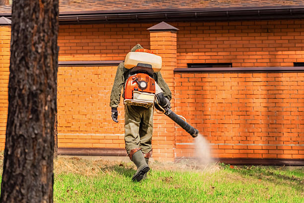 Trusted Bed Bug Control service in North Fort Lewis, WA - Nex Pest Control
